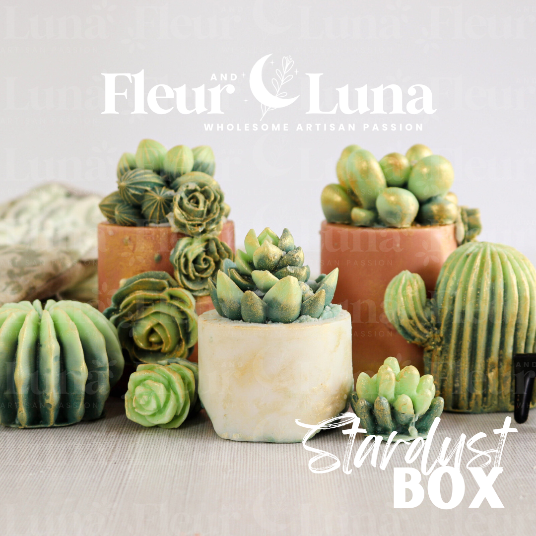 Stardust Box