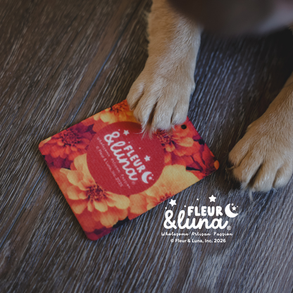 Voyage (Freshies & Spritzers)