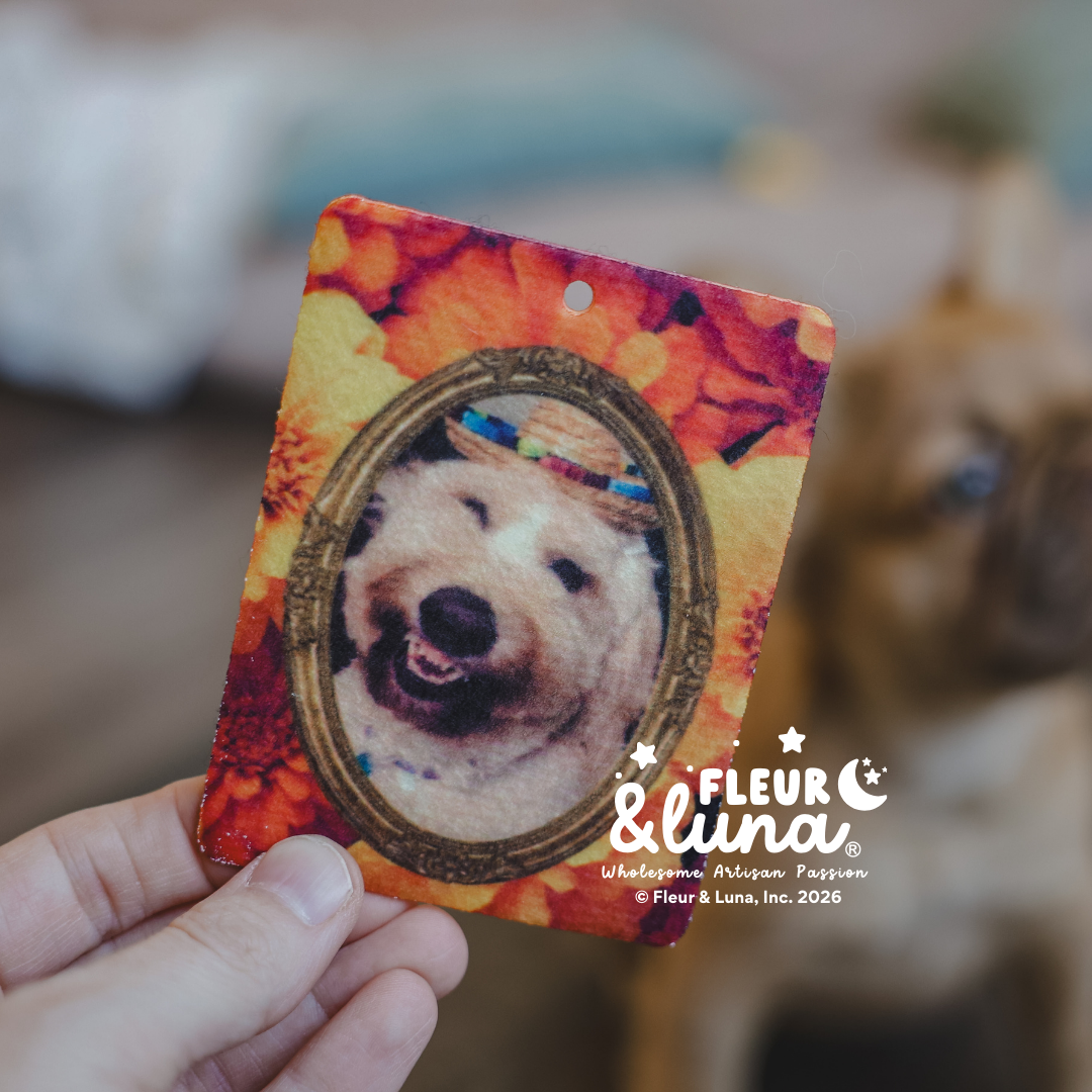 Voyage (Freshies & Spritzers)